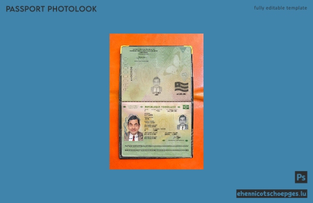 Beispielansicht für ein Passfoto für Togo